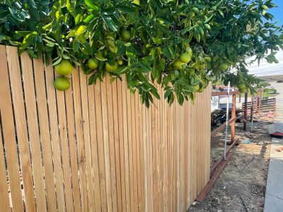 wooden custom fence