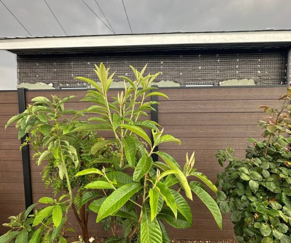 HandyMaestro Fencing Solutions Composite Fence